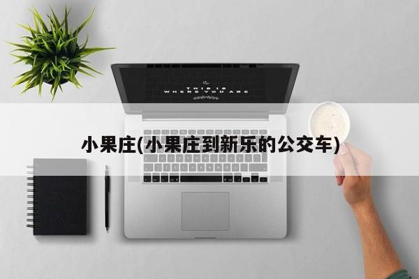 小果庄(小果庄到新乐的公交车)