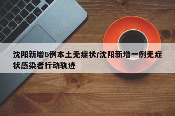 沈阳新增6例本土无症状/沈阳新增一例无症状感染者行动轨迹