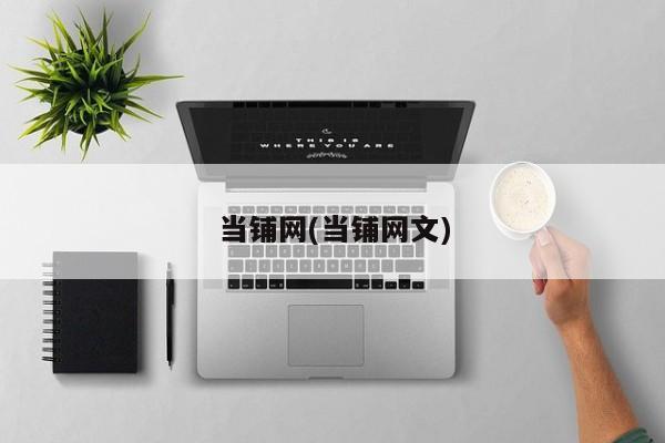 当铺网(当铺网文)