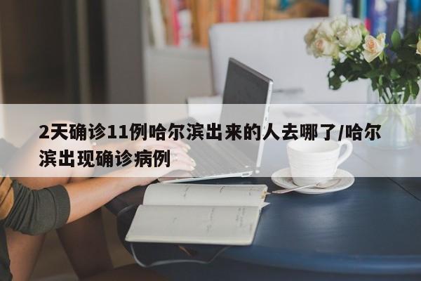 2天确诊11例哈尔滨出来的人去哪了/哈尔滨出现确诊病例