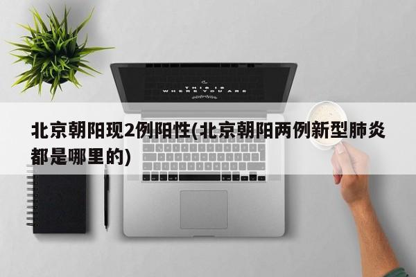 北京朝阳现2例阳性(北京朝阳两例新型肺炎都是哪里的)