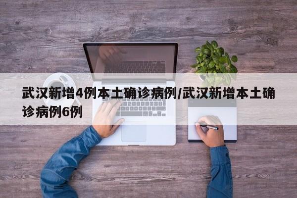 武汉新增4例本土确诊病例/武汉新增本土确诊病例6例