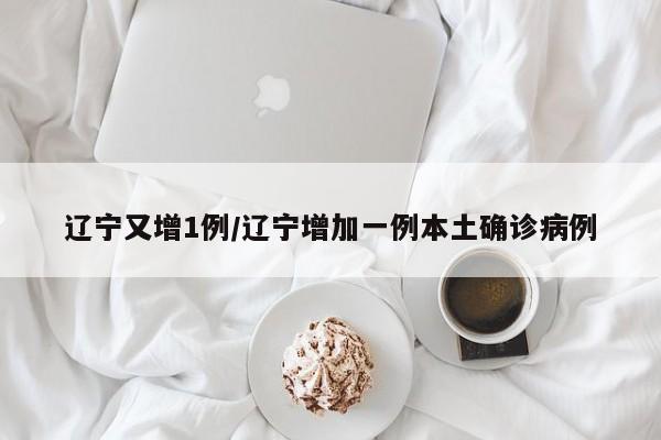 辽宁又增1例/辽宁增加一例本土确诊病例